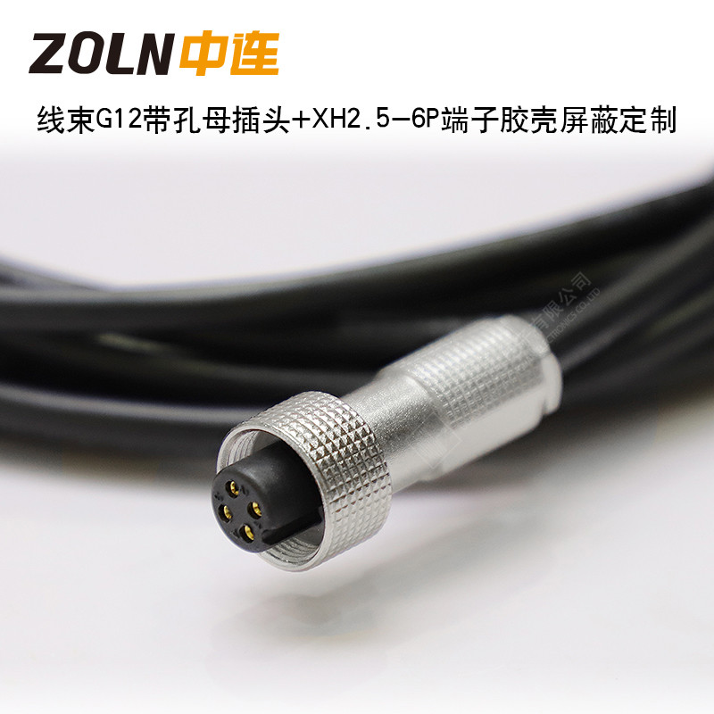線束G12帶孔母插頭+XH2.5-6P端子膠殼屏蔽定制